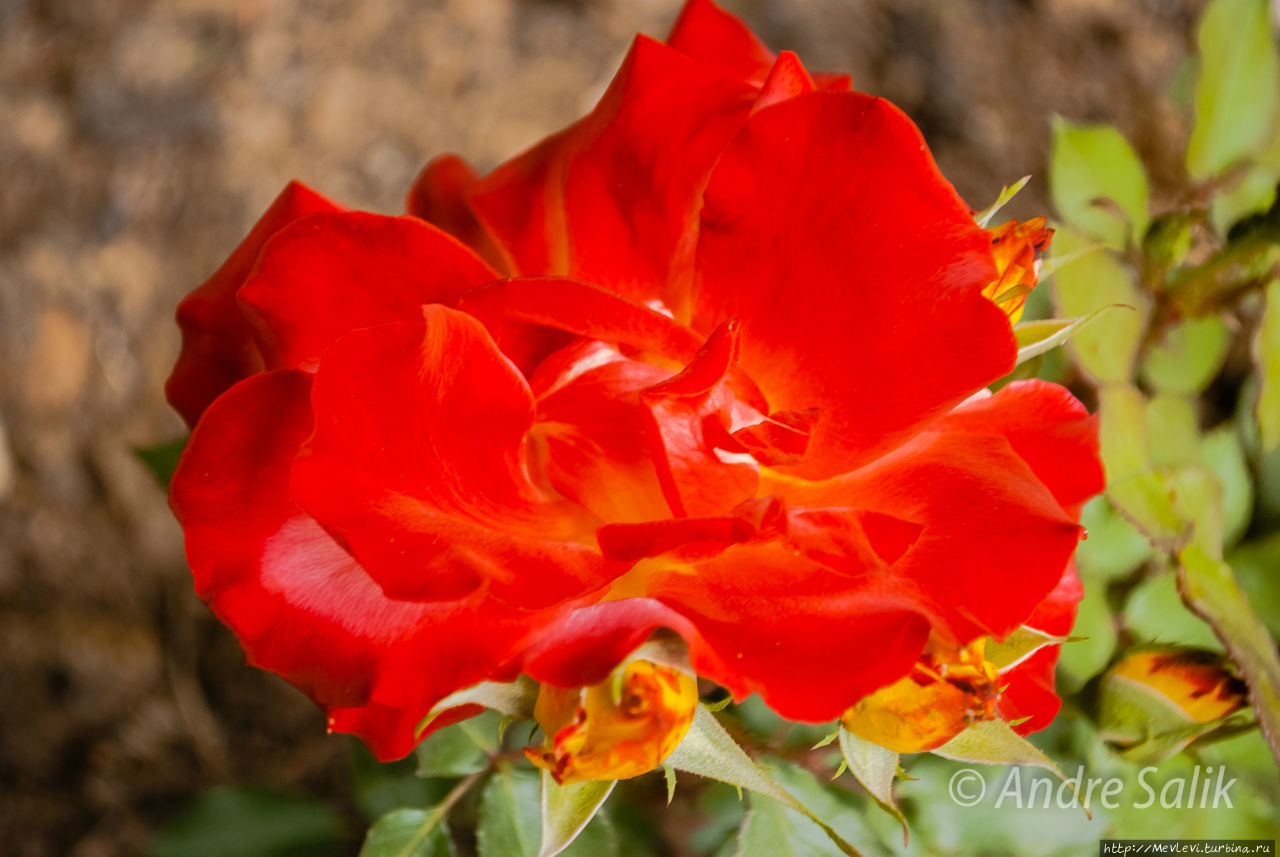 Райское местечко Керманшах, Иран