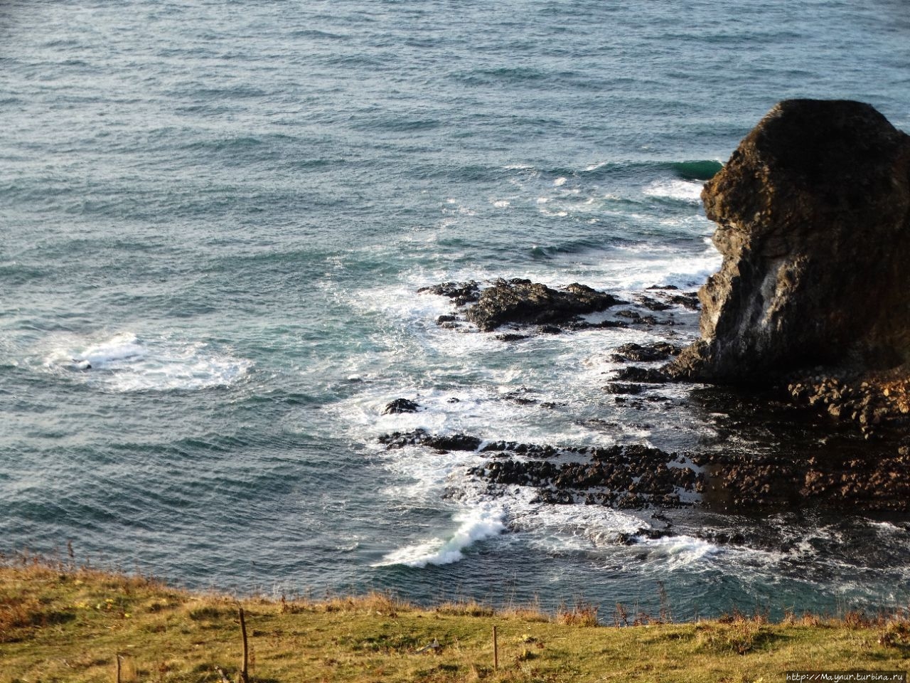 Мыс  Кузнецова. Рай  для  животных и птиц Мыс Кузнецова, Россия