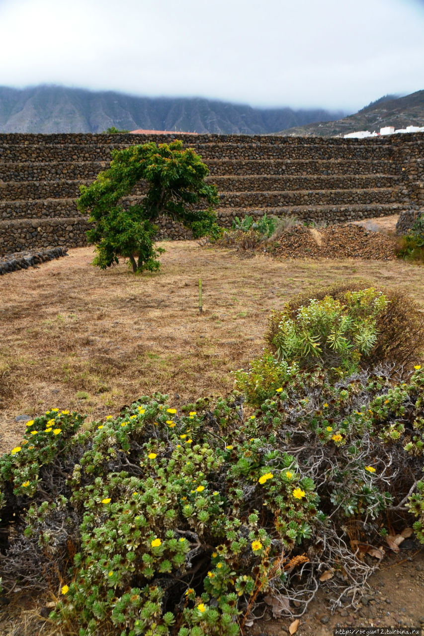 ступенчатые пирамиды в Гуимаре Остров Гран-Канария, Испания