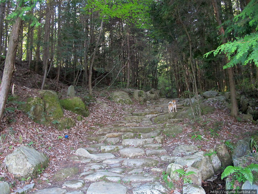 Старинный тракт Накасендо. Участок Эна-Мизунами Префектура Гифу, Япония