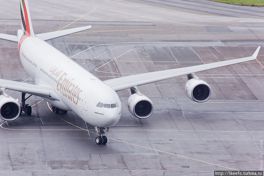 Самолёт авиакомпании Эмираты. В прошлый раз нам было запрещено его фотографировать. Огромный эаробус А340 Санкт-Петербург, Россия