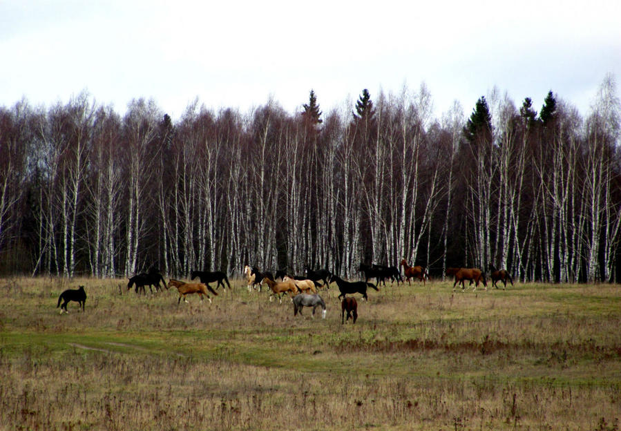 Осень. Не надо 