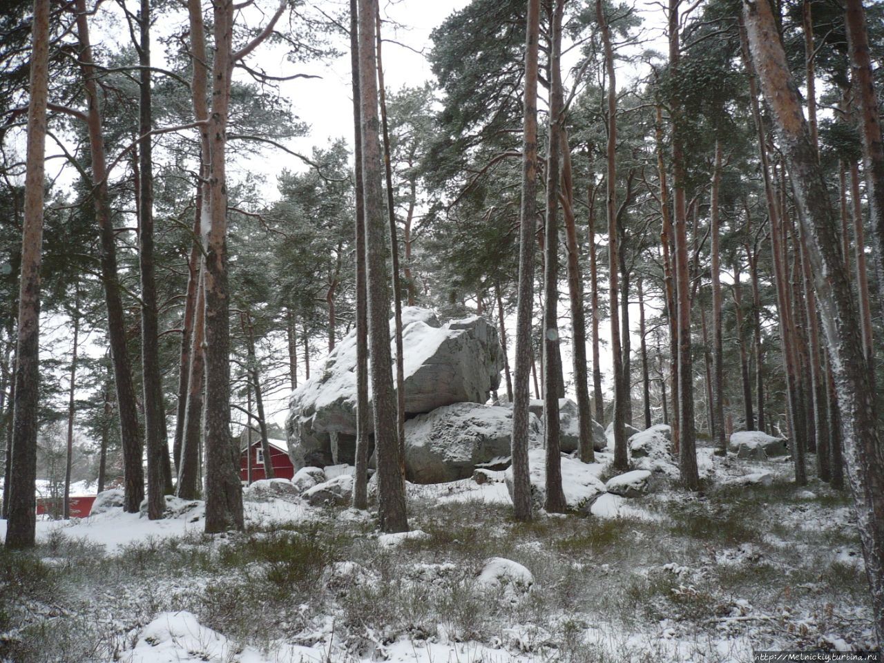 Усадьба Нясинмяки / Näsinmäen puistometsä