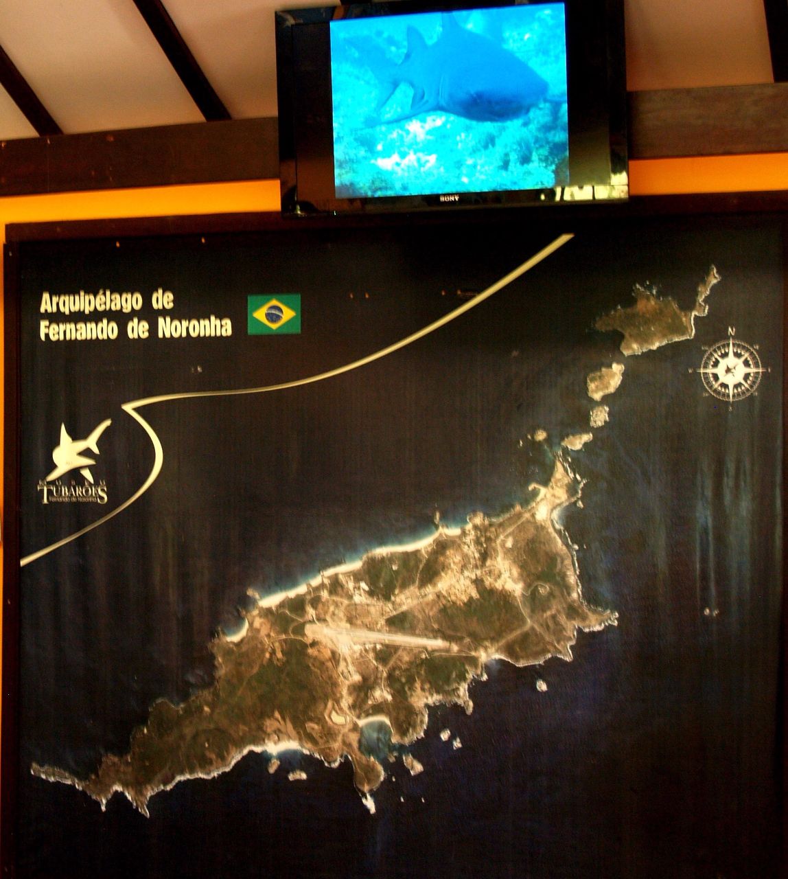 Музей Акул Фернанду-ди-Норонья, Бразилия