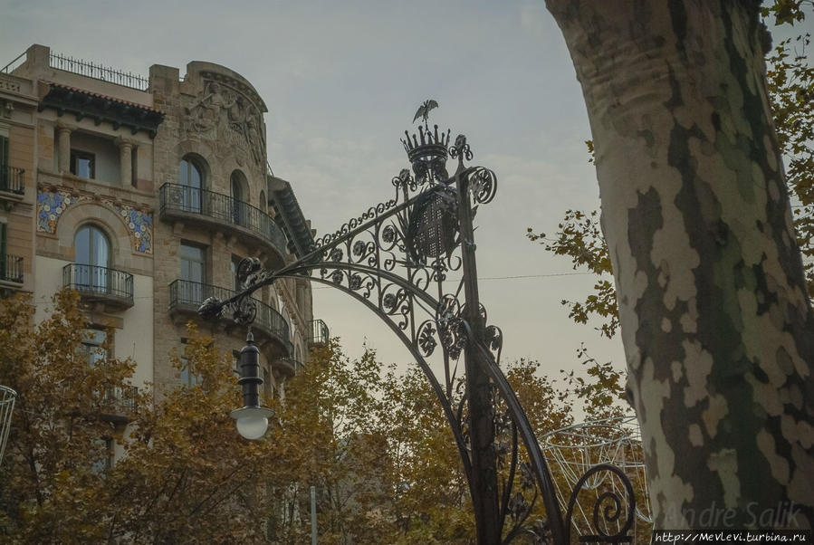 Там, где мандарины растут Барселона, Испания