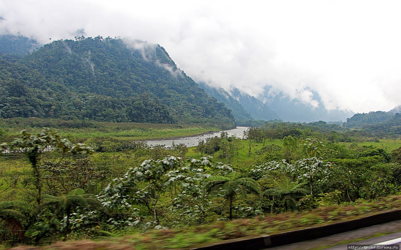 N.P. Cayambe-Coca — горы, реки, водопады. Дорога в облаках Кайамбе-Кока Экологический Заповедник, Эквадор