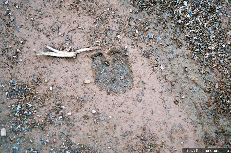 Утро в горах Торос Алания, Турция