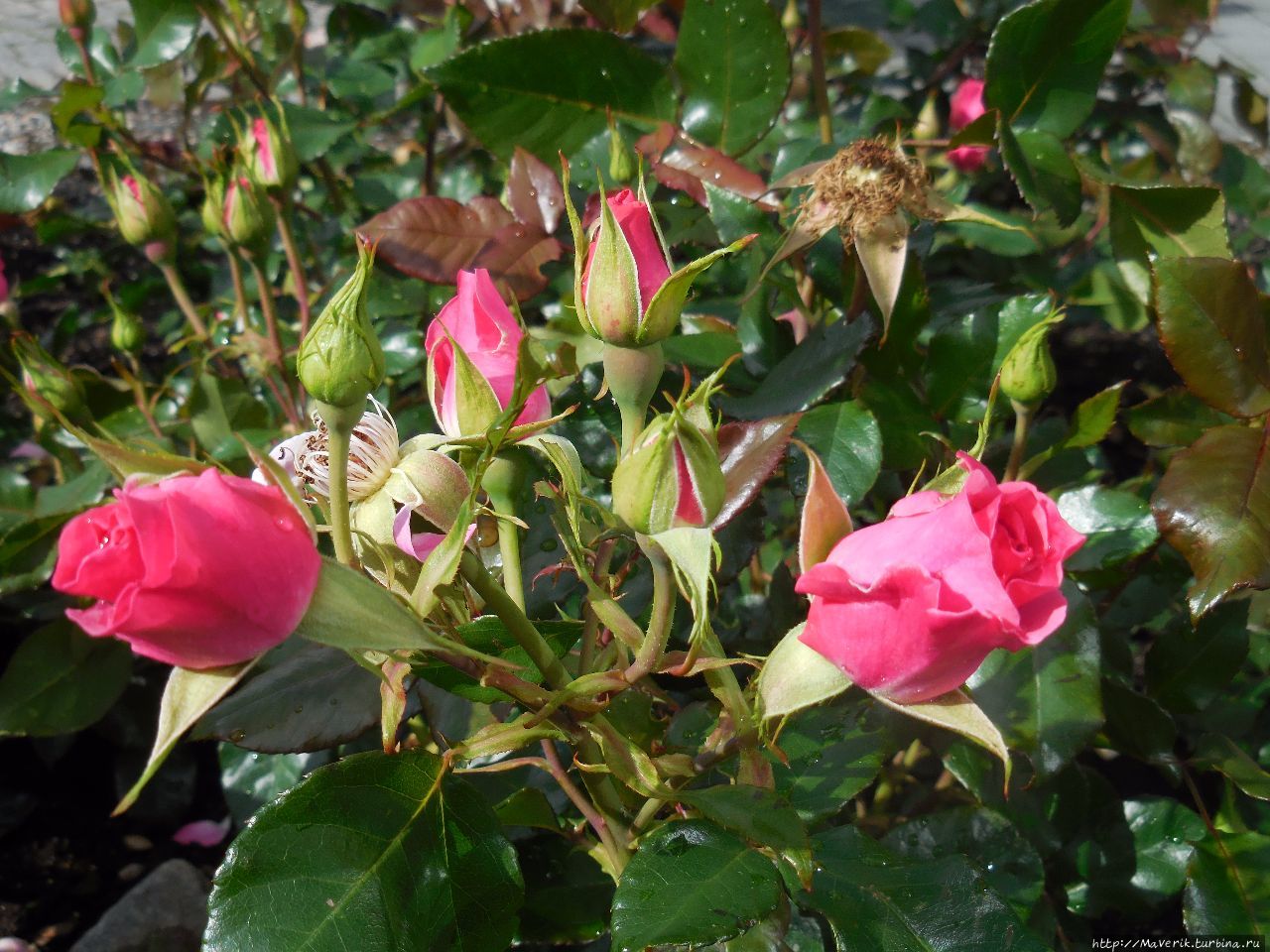 Молде — знакомство с 