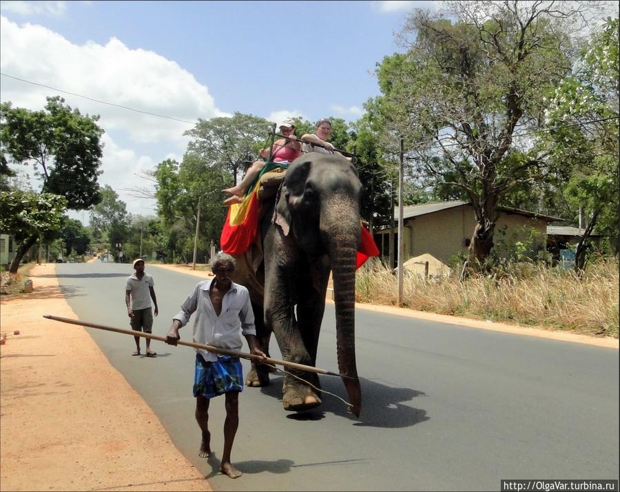 Слоновьи каталки Полоннарува, Шри-Ланка