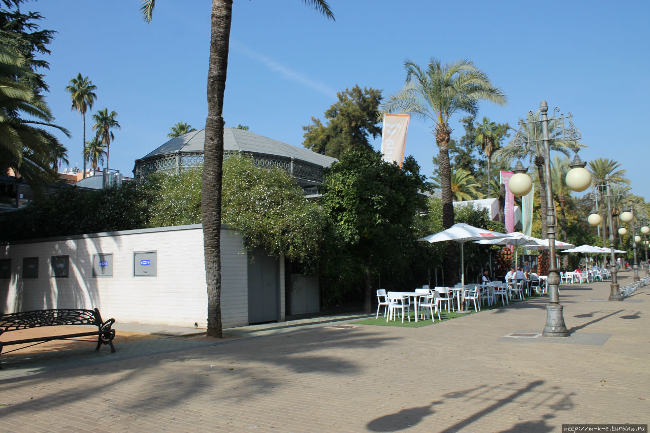 Рынок Виктория / Mercado Victoria