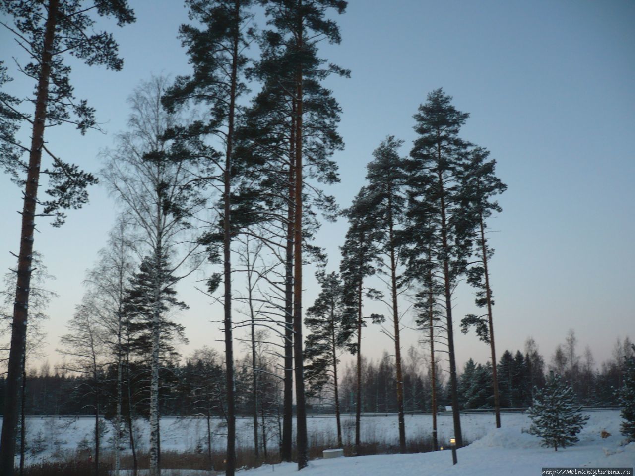 Зимний закат на лесном озере и Рождественский подарок Йоутса, Финляндия