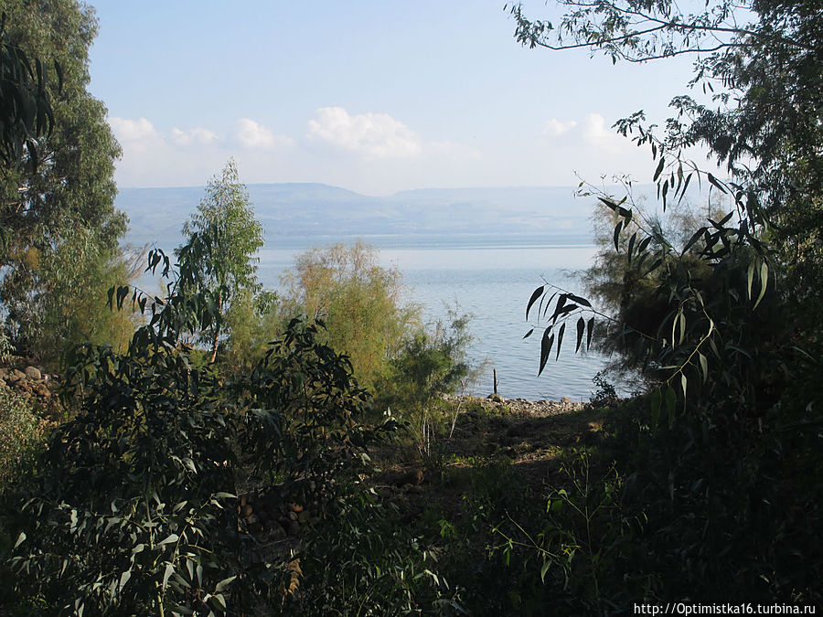 Райский уголок на берегу Галилейского моря Капернаум, Израиль