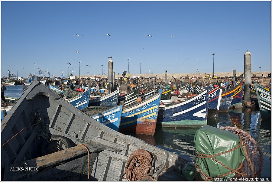 В океане синих лодок (Марокканский Вояж ч4)