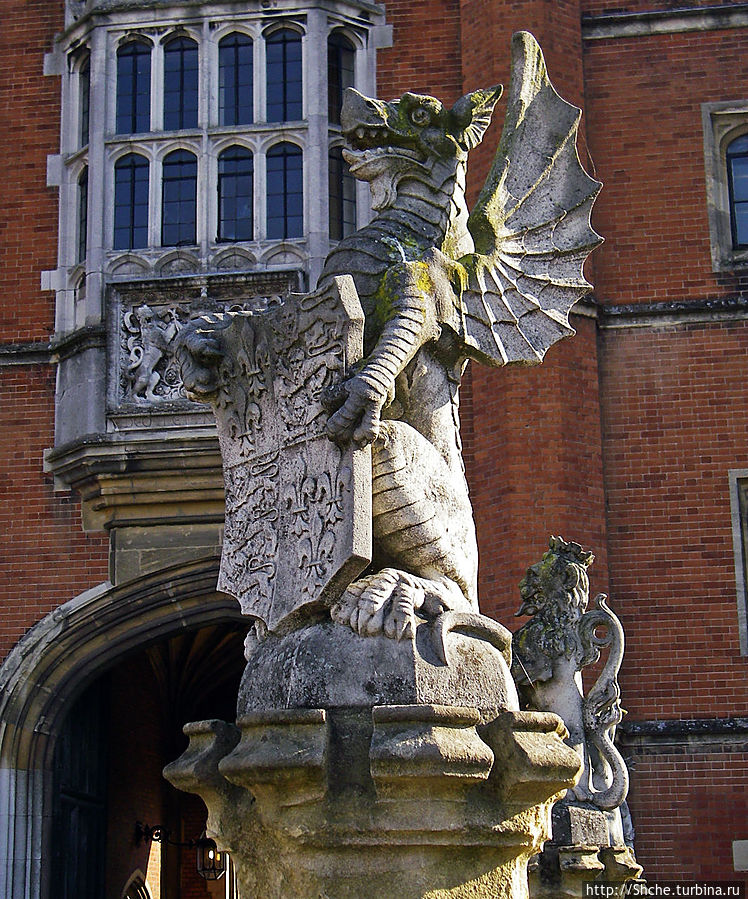 Звери короля Генриха VIII / Henry VIII's 