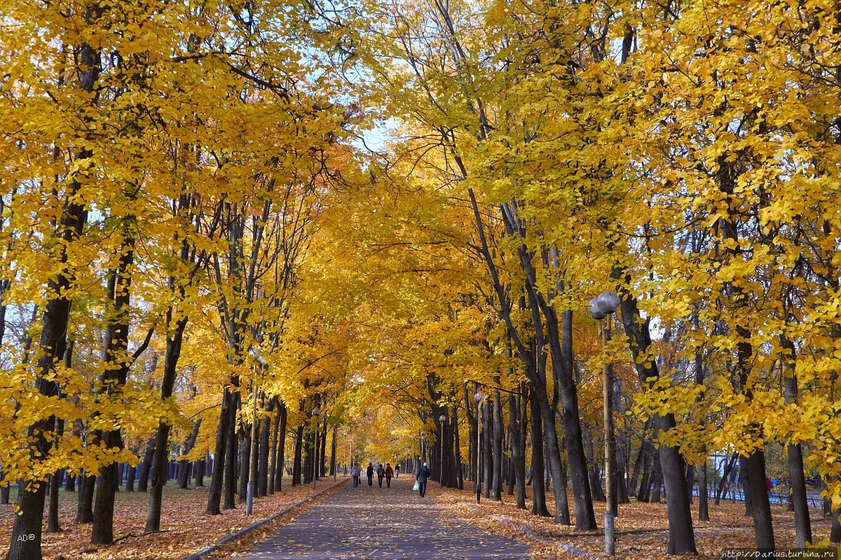 Осенние московские мотивы Москва, Россия