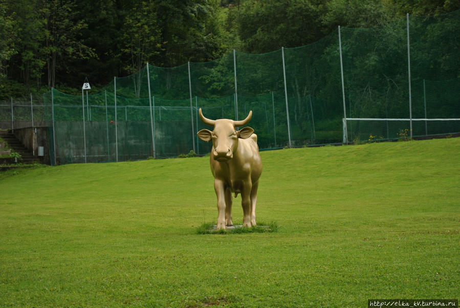 Золотая швейцарская корова (на территории СПА-курорта в Штоосе) Бруннен, Швейцария