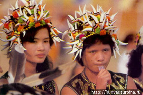 Молодая парочка даяков. Фото из Интернета Округ Тутонг, Бруней
