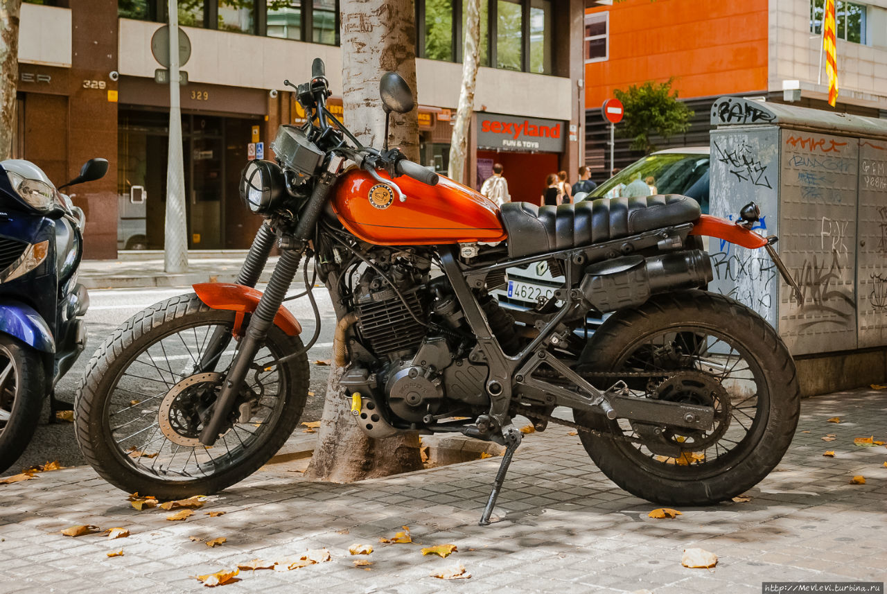 Летняя Барселона Барселона, Испания