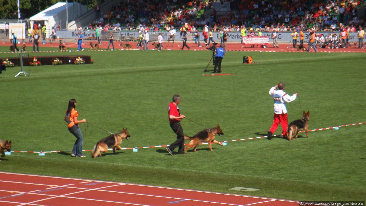 Зигер в Ульме Ульм, Германия