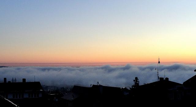 туман по утру (фото из окна)