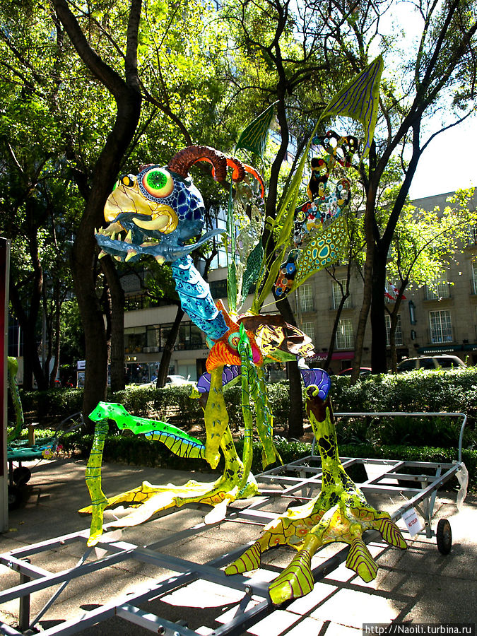 Алебрихес — найдите своего дракона (фото часть 2) Мехико, Мексика
