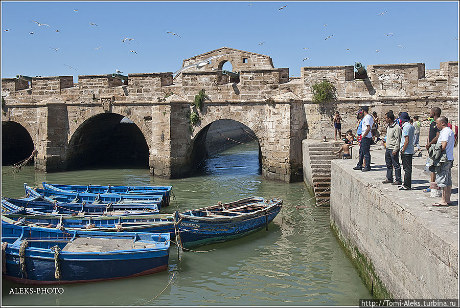 Я специально перемешал фото двух бастионов, чтобы не было однообразия...
*
