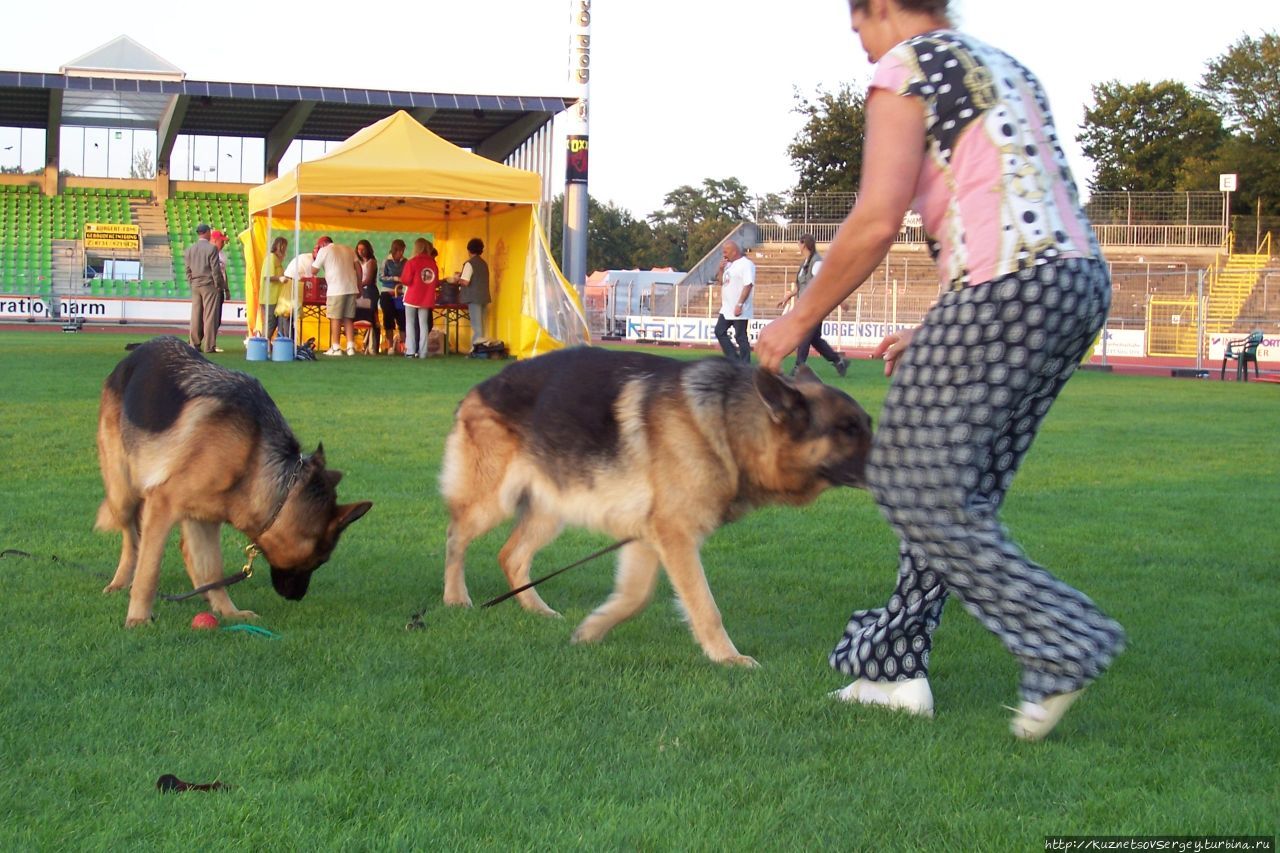 Снова Ульм, снова Зигер! Ульм, Германия