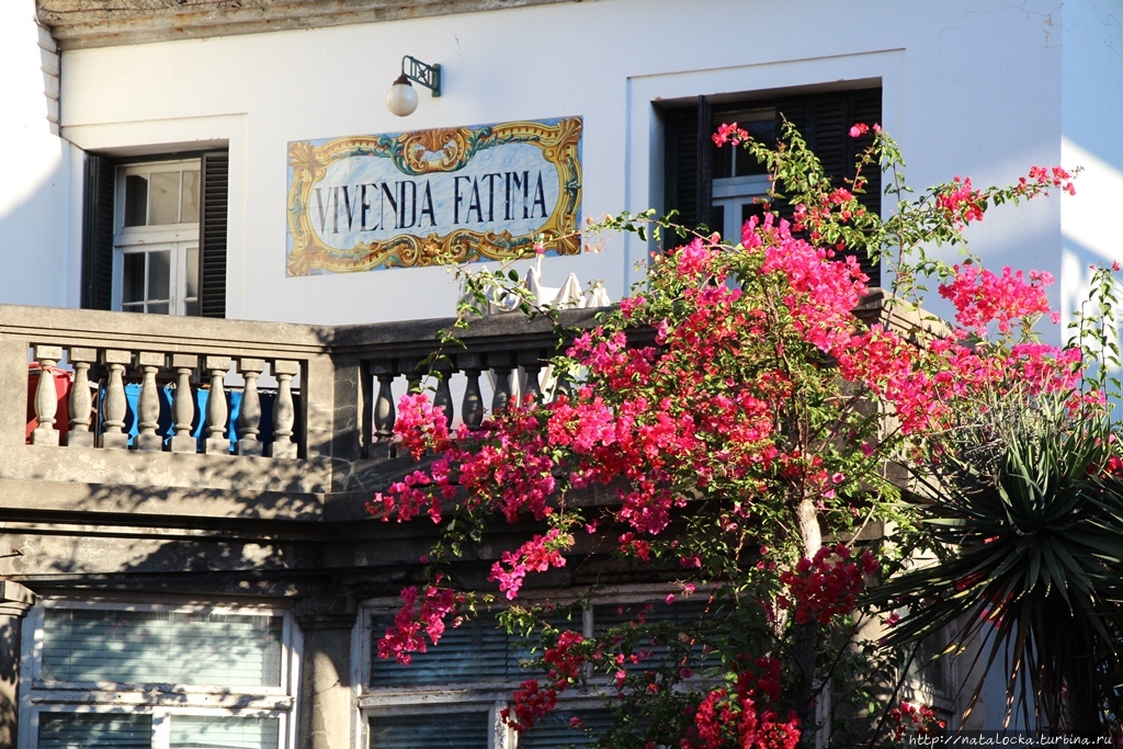 Фуншал — солнечный город на острове вечной весны. Фуншал, Португалия