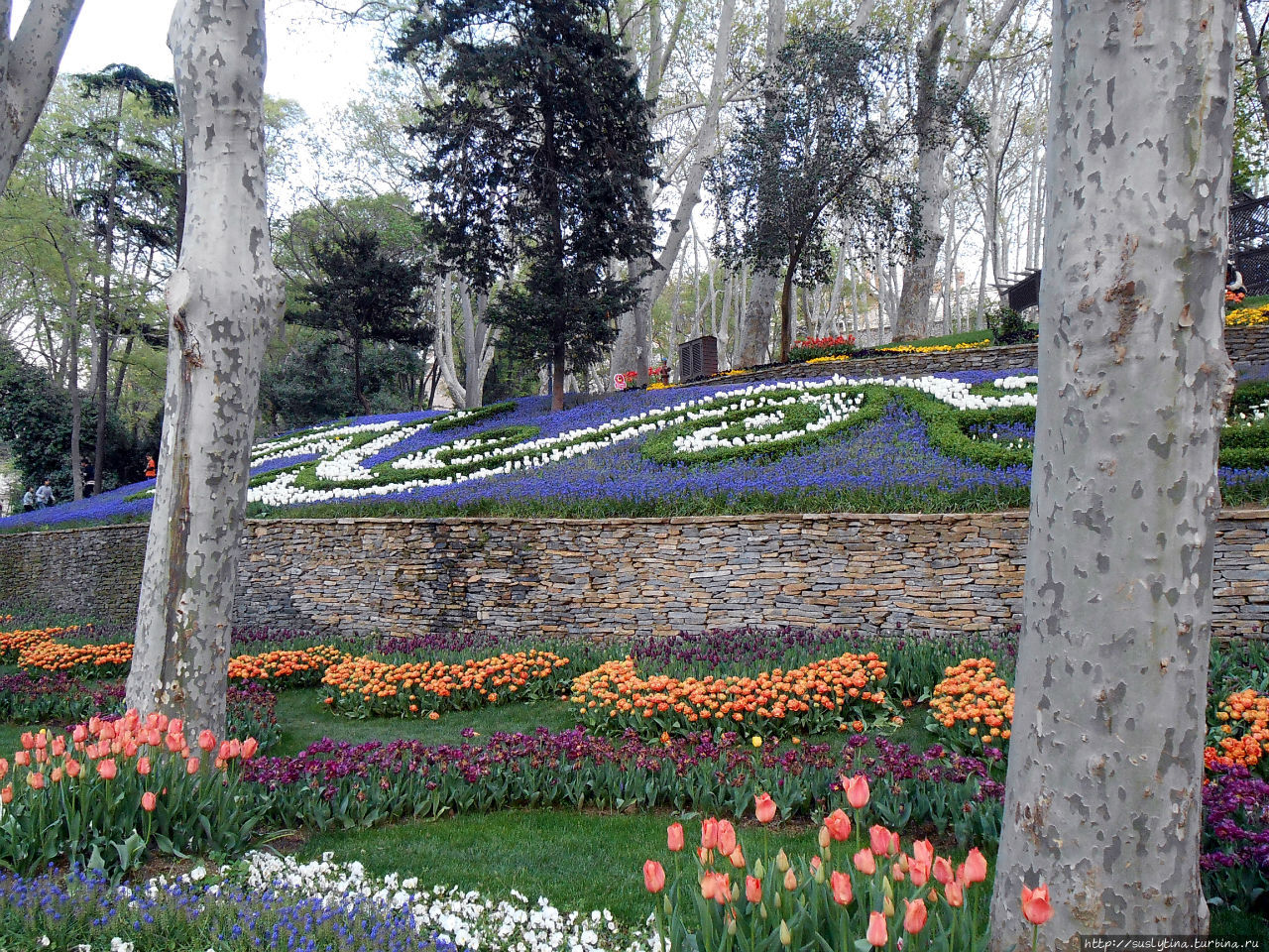 ковры из цветов Стамбул, Турция