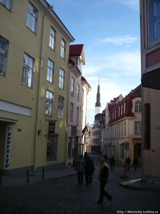 Прогулка по осеннему Таллину Таллин, Эстония