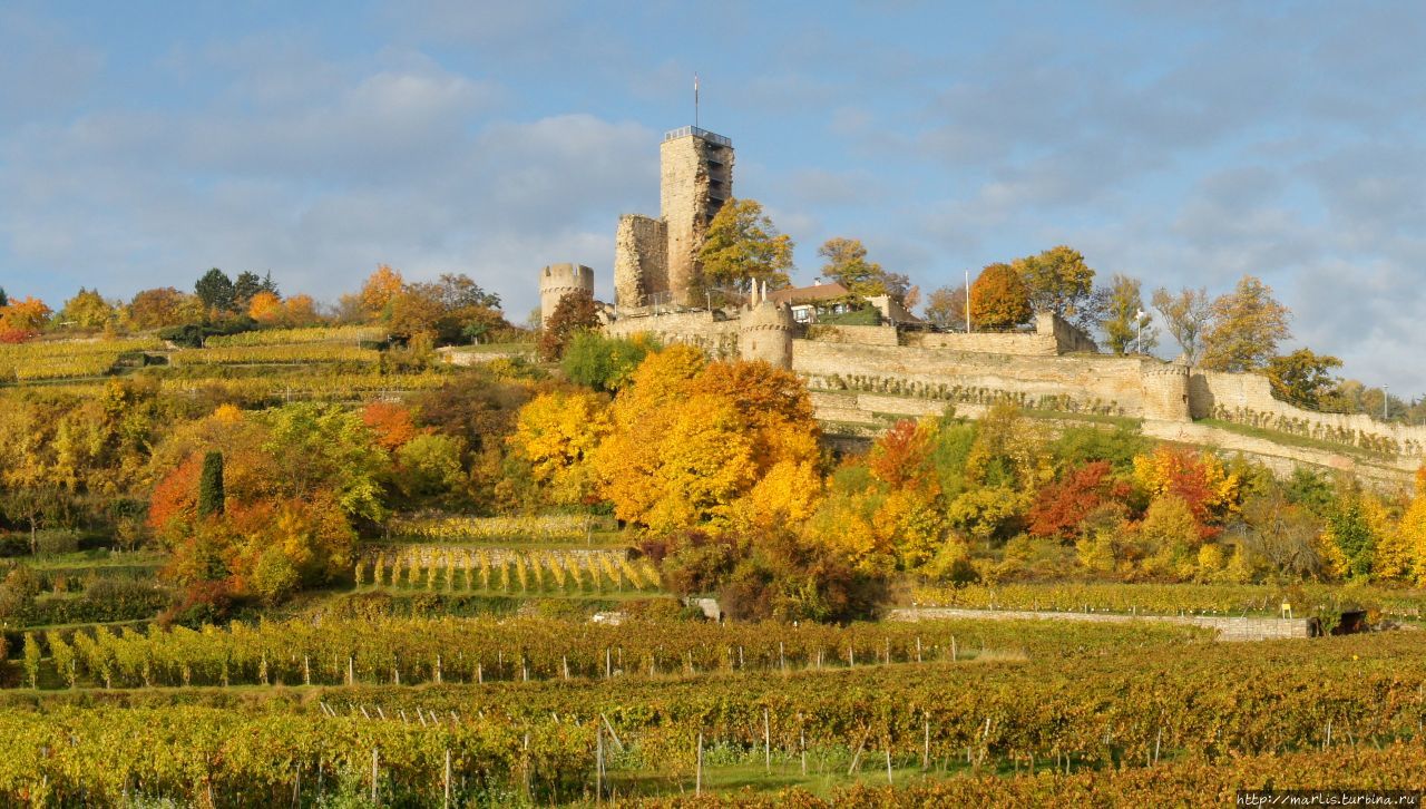 Замок Вахтенбург — символ Винной дороги. foto Internet Дайдесхайм, Германия