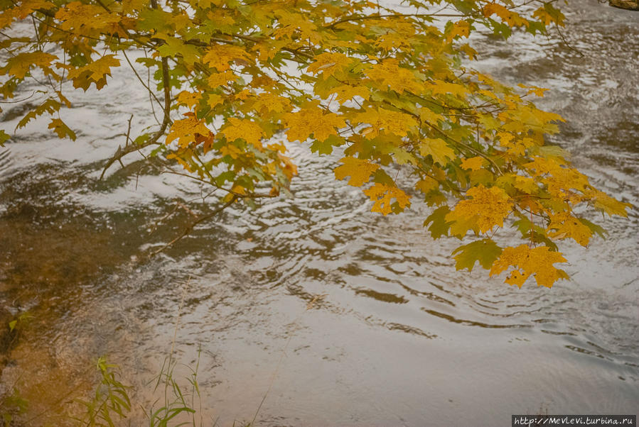 В Сигулде Сигулда, Латвия