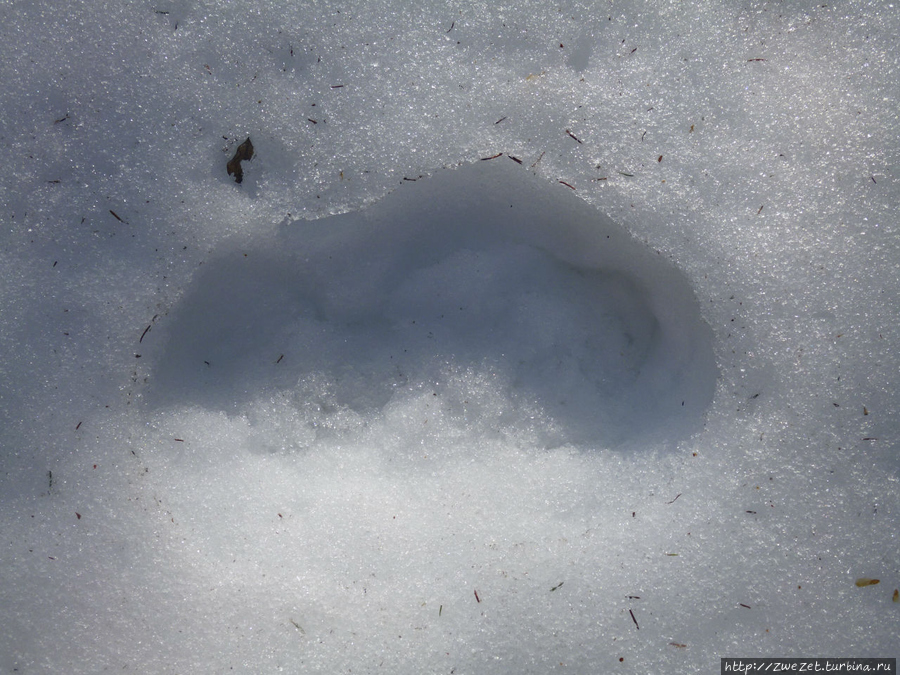 На обломках прошлого Москва и Московская область, Россия