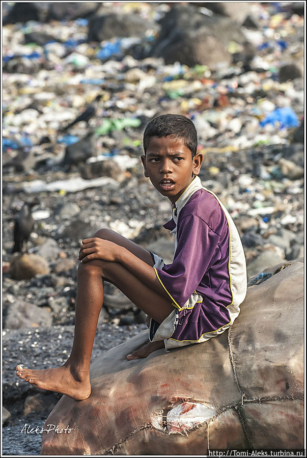 Привычный мир...
*