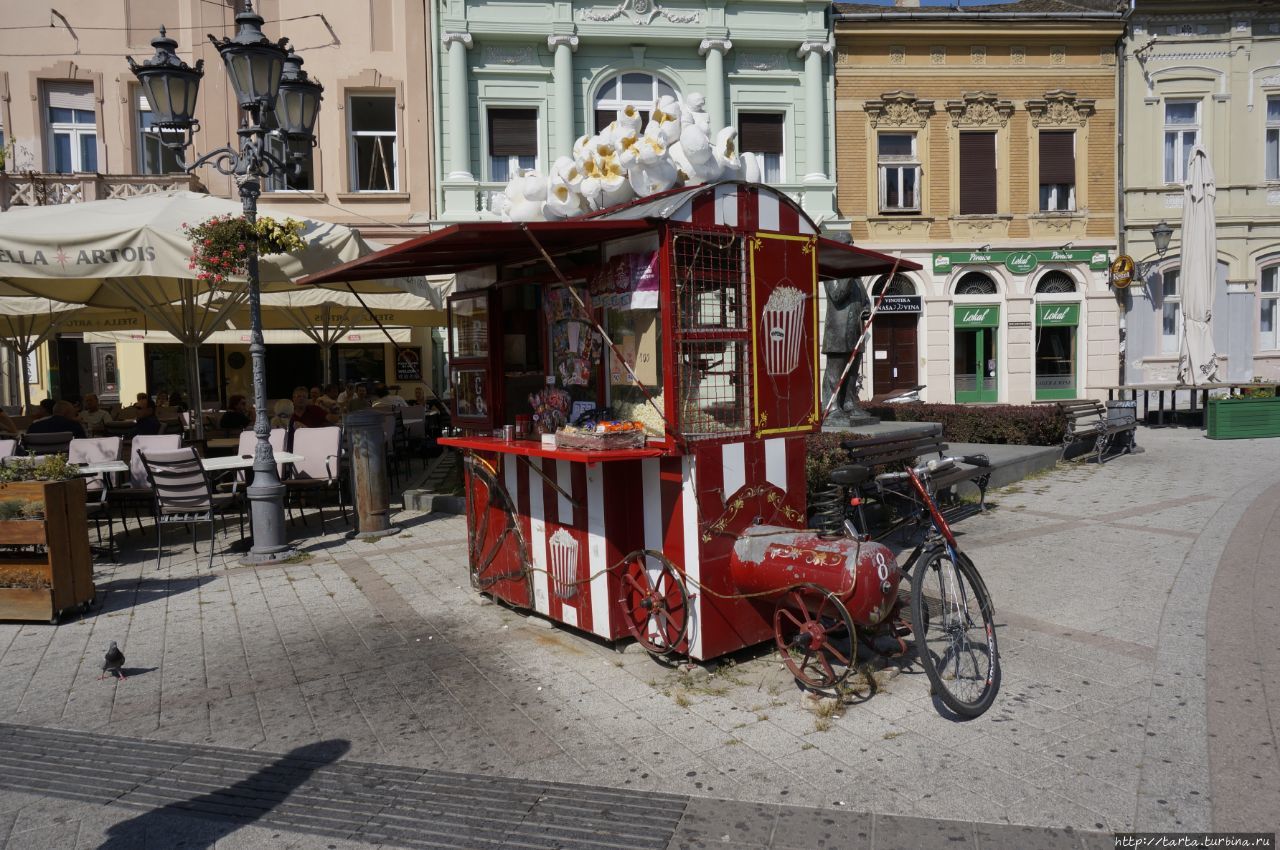 Прогулка, которая запомнилась Нови-Сад, Сербия