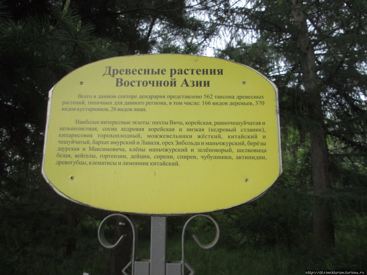Ботанический сад — встреча с улиткой и прогулка к выходу Минск, Беларусь