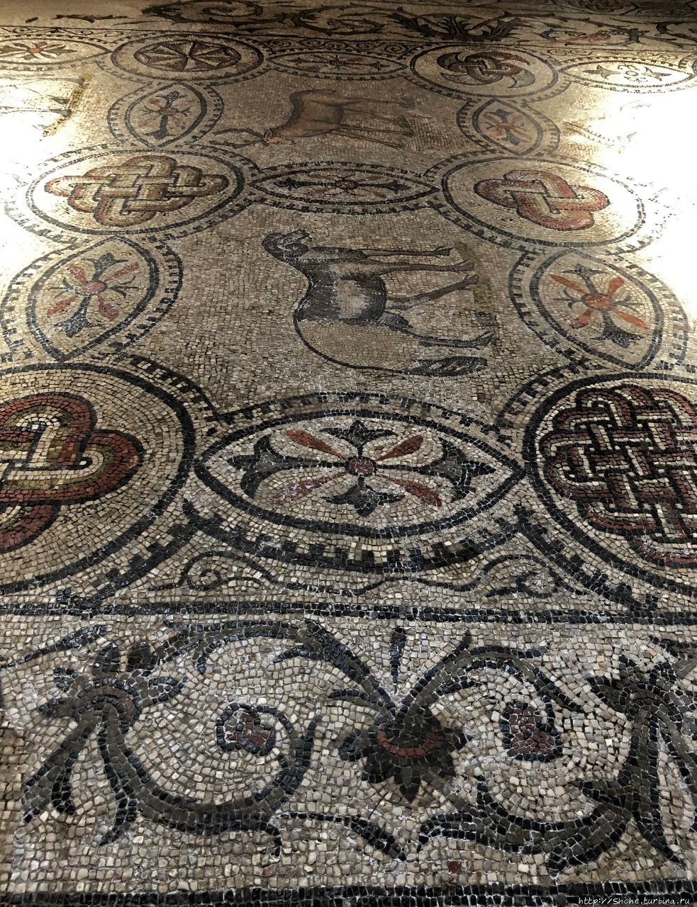 Базилика ди Санта-Мария-Ассунта Аквилея, Италия