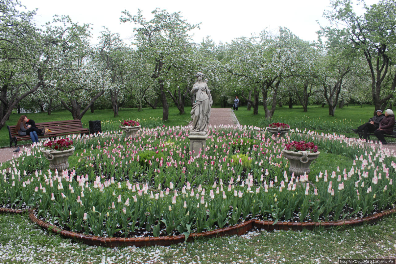 Пока не кончилась весна Москва, Россия