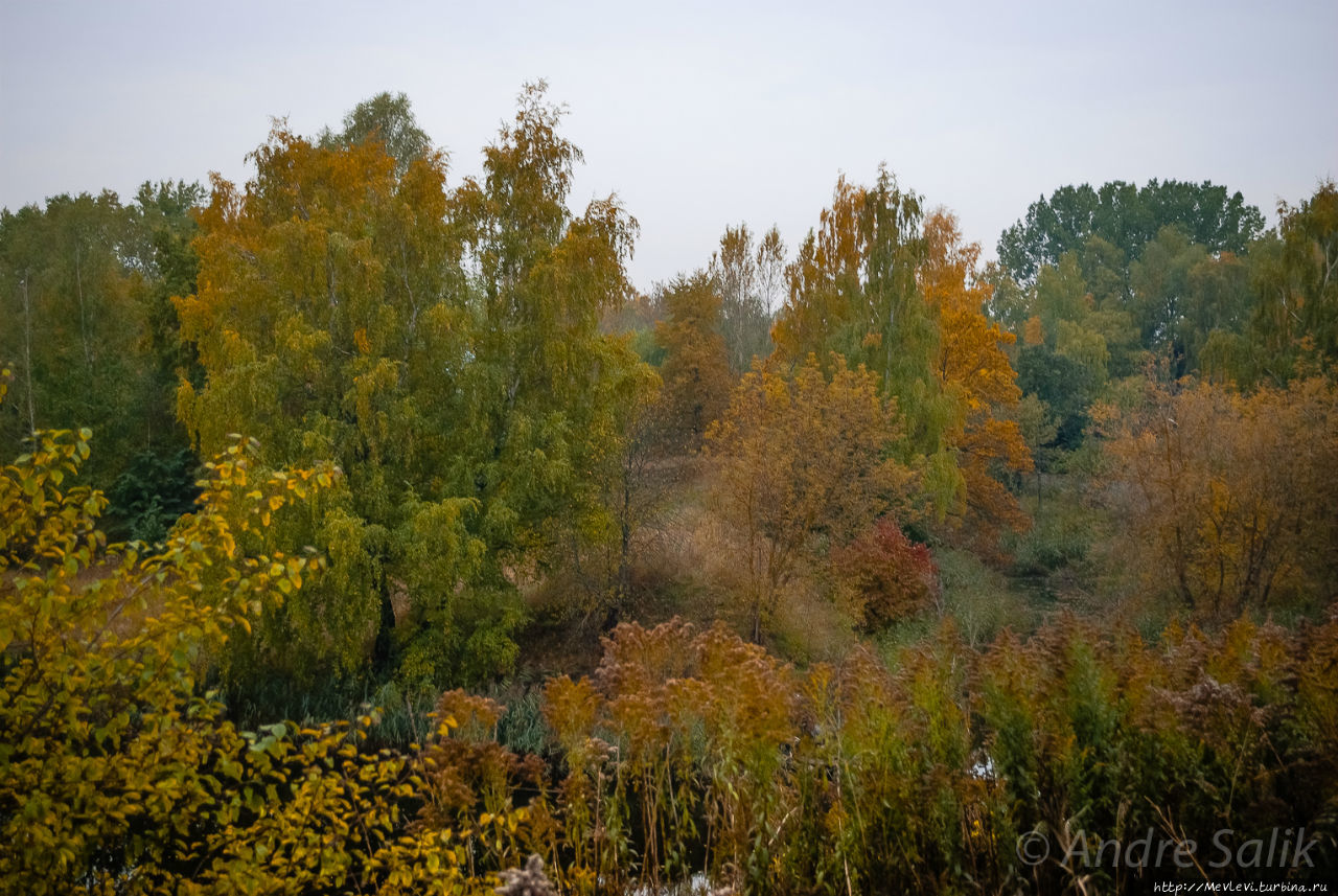 Красивая осень!!! Рига, Латвия