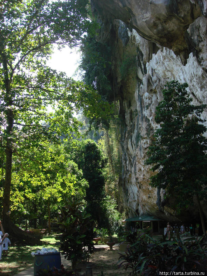 Впечатления от поездки в Кхао-Сок переполняют... Кхао-Сок Национальный Парк, Таиланд
