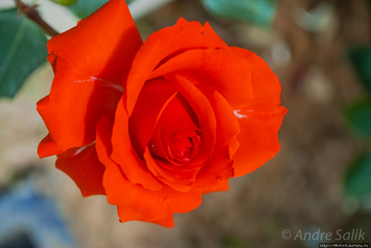 Мечеть и комплекс Вакиль (Masdjed-e Wakil). Шираз, Иран