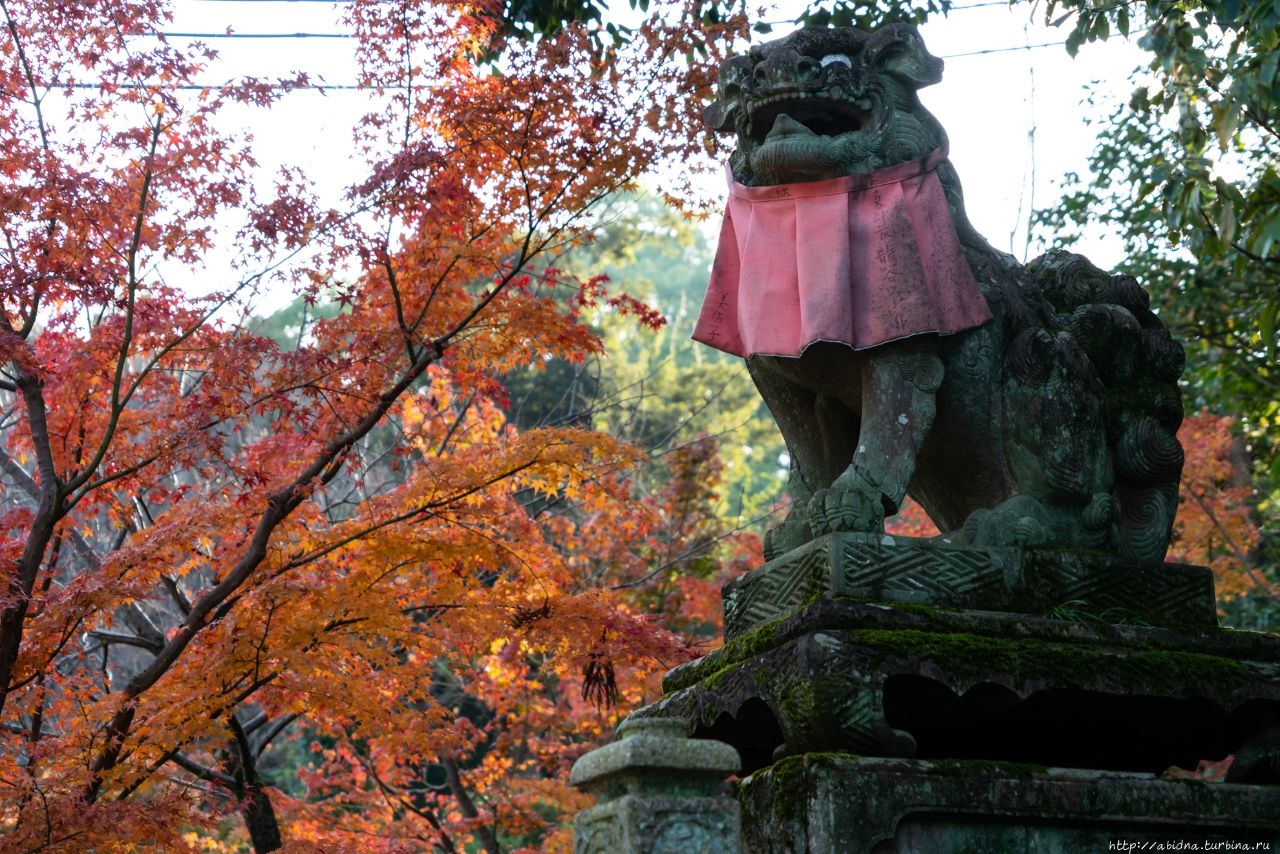 Лисий храм Фусими Инари Киото, Япония