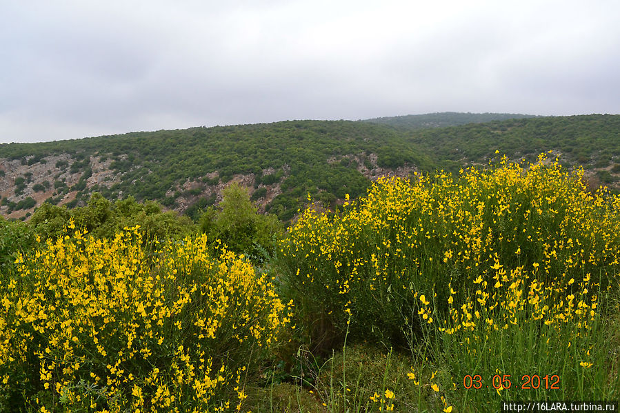 Поселок Неве-Атив и крепость Нимрод Национальный парк крепость Нимрод, Израиль