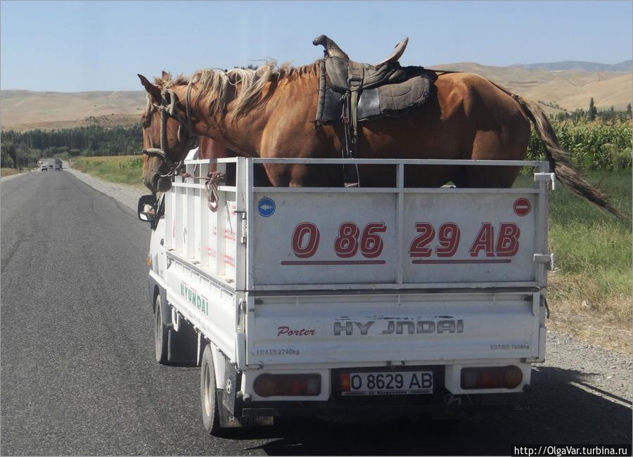 Способ передвижения в Киргизии можно выбрать любой: в автомобиле, на лошади... Нарын, Киргизия