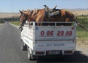 Способ передвижения в Киргизии можно выбрать любой: в автомобиле, на лошади...