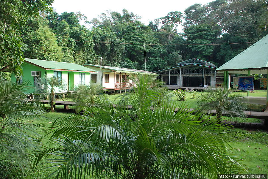 Здания администрации в НП Тортугьеро Тортугеро, Коста-Рика