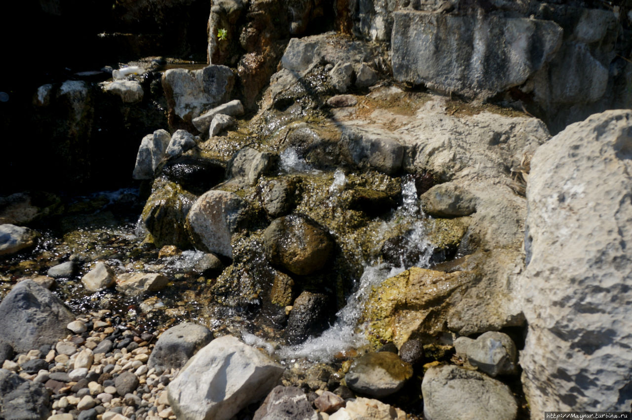 Целительная  вода вытекает  из — под  каждого  камня. Галилейское море озеро, Израиль