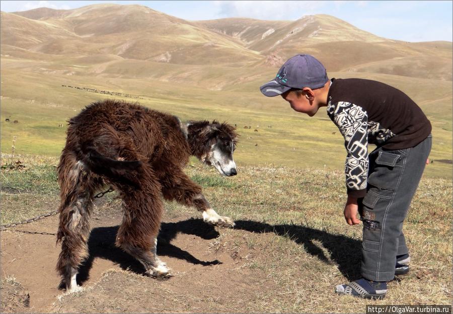 Скоро детство у обоих закончится, и начнутся другие, взрослые игры Озеро Сон-Куль, Киргизия