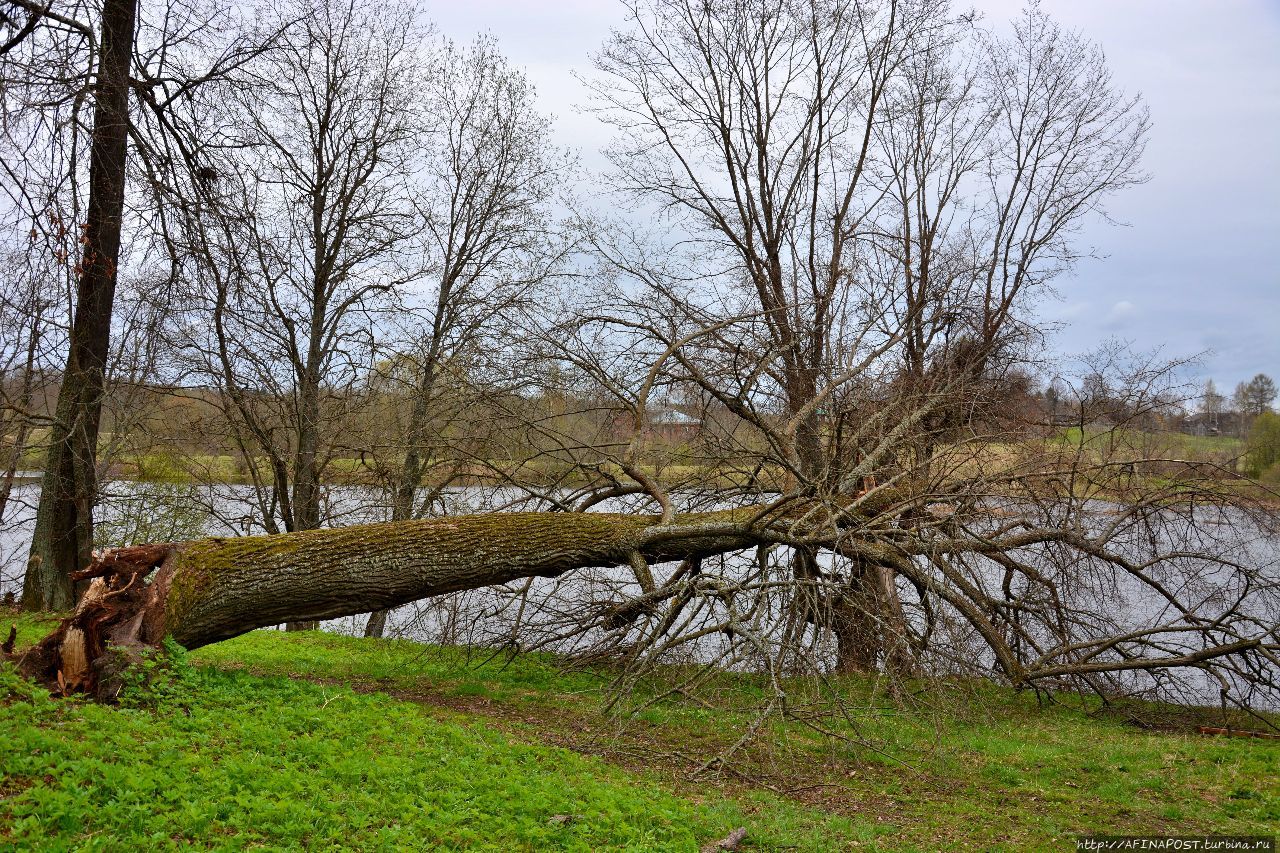 Усадьба Полторацких в селе Красное Красное, Россия