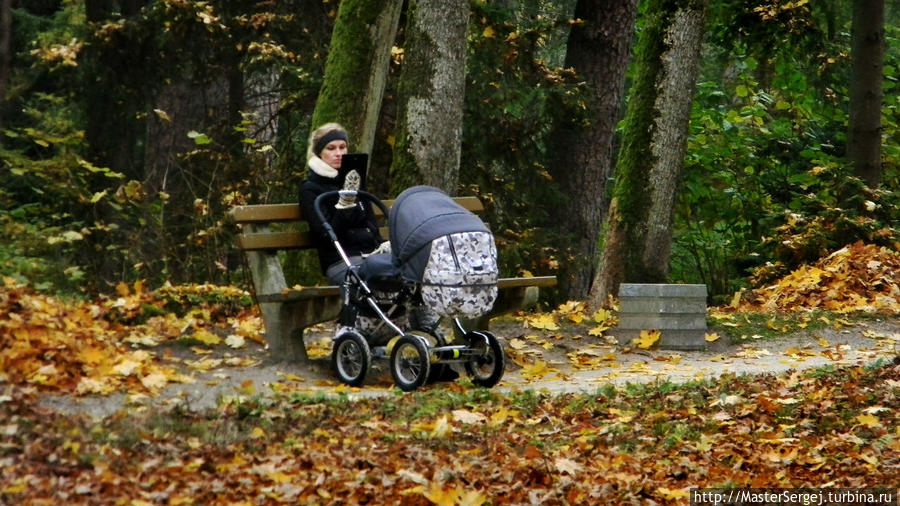 Осень в Паланге Паланга, Литва